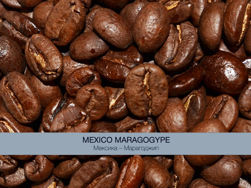 Кофе Арабика Мексика – Марагогип